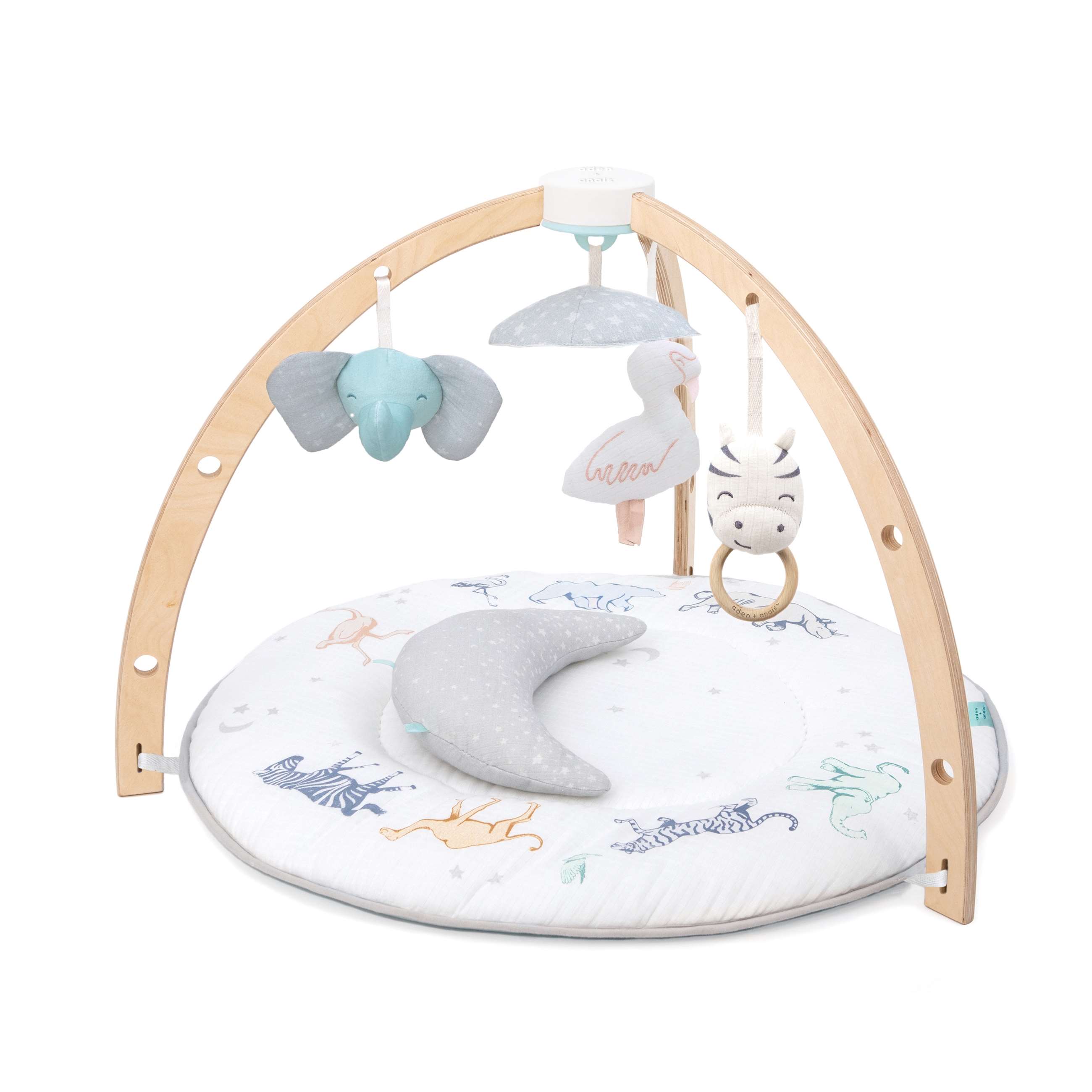 aagm10001_1-baby-playtime-activity-gym